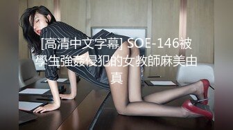 [高清中文字幕] SOE-146被學生強姦侵犯的女教師麻美由真