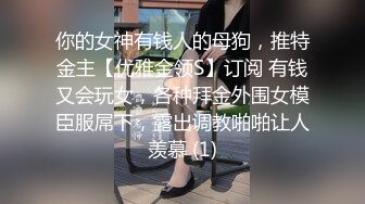 你的女神有钱人的母狗，推特金主【优雅金领S】订阅 有钱又会玩女，各种拜金外围女模臣服屌下，露出调教啪啪让人羡慕 (1)